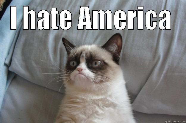 grumpy america - I HATE AMERICA  Grumpy Cat