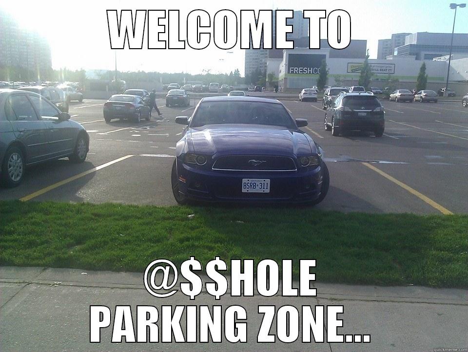 WELCOME TO @$$HOLE PARKING ZONE... Misc
