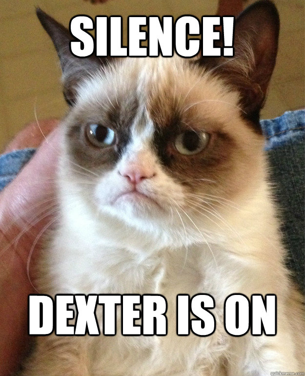 Silence! Dexter is on  Grumpy Cat