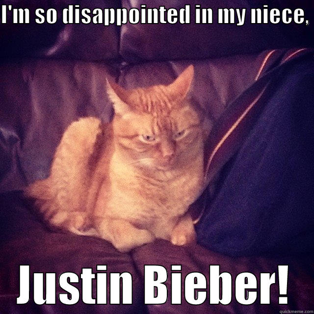Agitated Cat - I'M SO DISAPPOINTED IN MY NIECE,  JUSTIN BIEBER! Misc