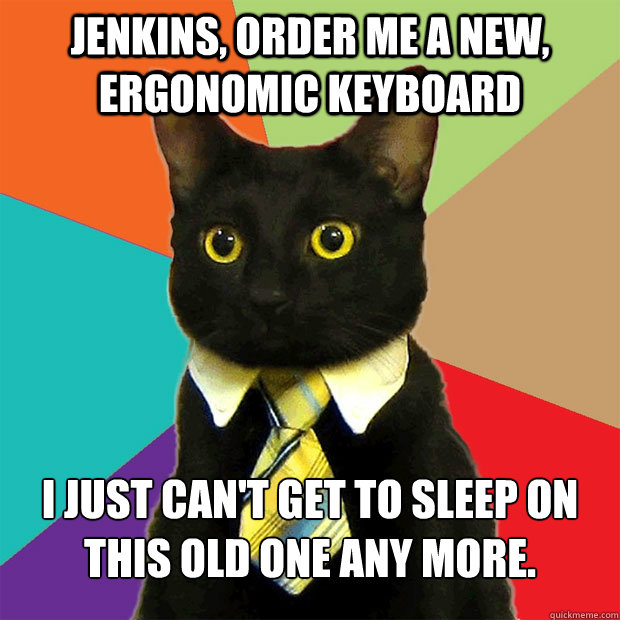 Jenkins, order me a new, ergonomic keyboard I just can't get to sleep on this old one any more.  Business Cat