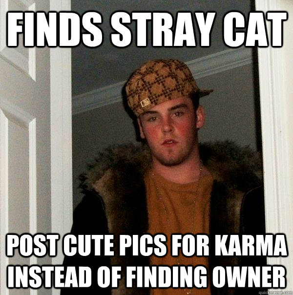 Finds Stray Cat Post cute Pics for Karma Instead of finding owner - Finds Stray Cat Post cute Pics for Karma Instead of finding owner  Scumbag Steve