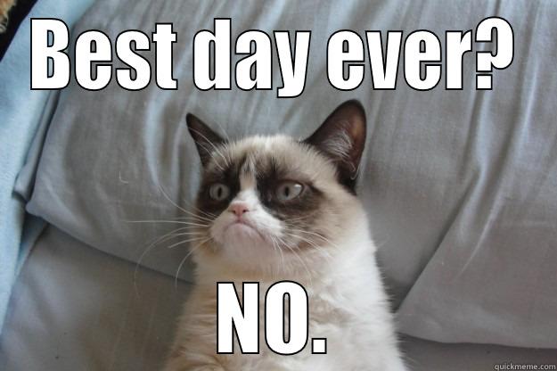 BEST DAY EVER? NO. Grumpy Cat