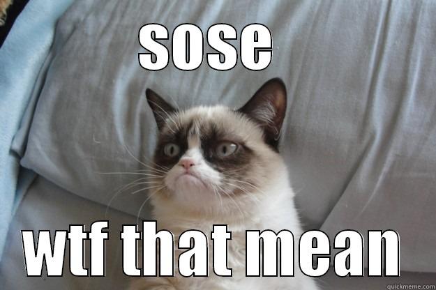 ha ha - SOSE  WTF THAT MEAN Grumpy Cat