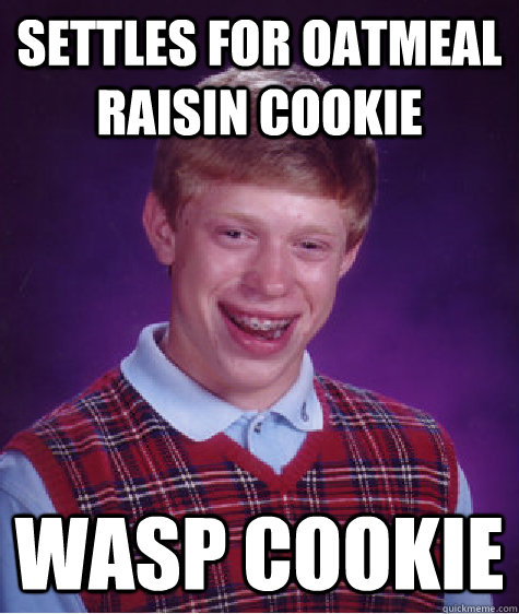 Settles for oatmeal raisin cookie wasp cookie  Bad Luck Brian