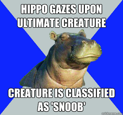 Hippo gazes upon ultimate creature Creature is classified as 'snoob'  Skeptical Hippo