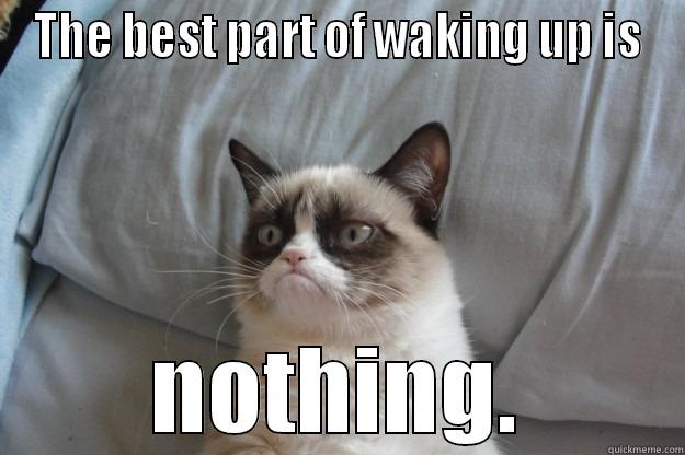 THE BEST PART OF WAKING UP IS NOTHING. Grumpy Cat