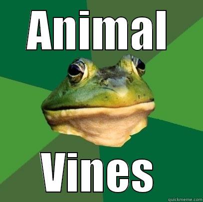 ANIMAL VINES Foul Bachelor Frog