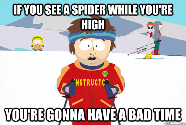 If you see a spider while you're high You're gonna have a bad time  South Park Youre Gonna Have a Bad Time