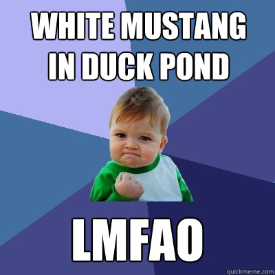 WHITE MUSTANG 
IN DUCK POND LMFAO - WHITE MUSTANG 
IN DUCK POND LMFAO  Success Kid