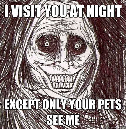 I visit you at night Except only your pets see me  Horrifying Houseguest