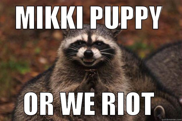 Puppy Or Riot - MIKKI PUPPY OR WE RIOT Evil Plotting Raccoon