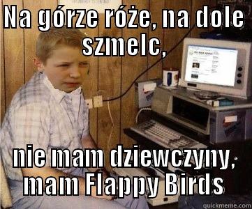 NA GÓRZE RÓŻE, NA DOLE SZMELC, NIE MAM DZIEWCZYNY, MAM FLAPPY BIRDS Misc