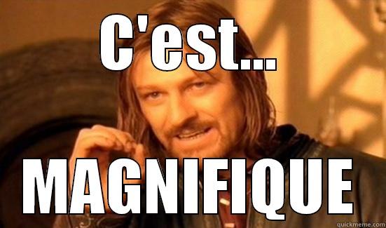 C'EST... MAGNIFIQUE Boromir