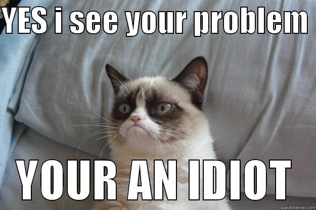 YES I SEE YOUR PROBLEM  YOUR AN IDIOT Grumpy Cat