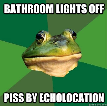 Bathroom lights off piss by echolocation  Foul Bachelor Frog