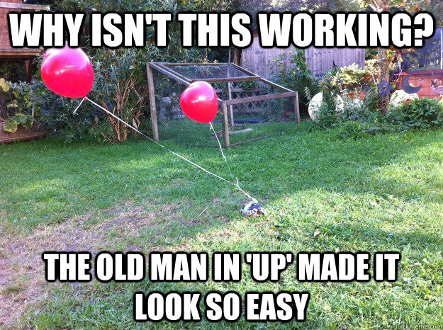 Why isn't this working? The old man in 'UP' made it look so easy  Flying Turtle