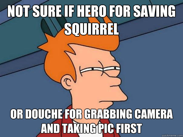 not sure if hero for saving squirrel or douche for grabbing camera and taking pic first - not sure if hero for saving squirrel or douche for grabbing camera and taking pic first  Futurama Fry