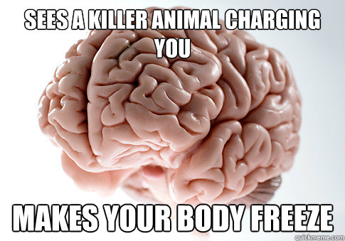 sees a killer animal charging you makes your body freeze   Scumbag Brain