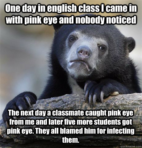 One day in english class I came in with pink eye and nobody noticed The next day a classmate caught pink eye from me and later five more students got pink eye. They all blamed him for infecting them.  Confession Bear