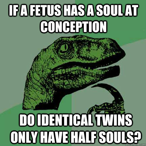 If a Fetus has a soul at conception Do identical twins only have half souls?  