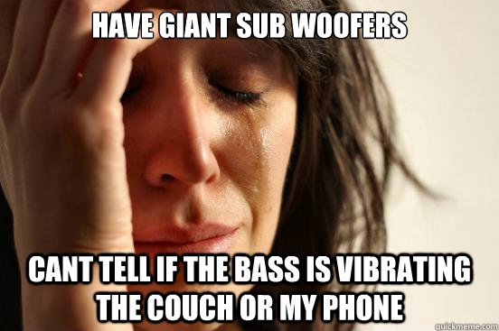 Have giant sub woofers cant tell if the bass is vibrating the couch or my phone  First World Problems