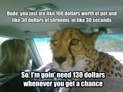 Dude, you just ate like 100 dollars worth of pot and like 30 dollars of shrooms, in like 30 seconds So, I'm goin' need 130 dollars whenever you get a chance - Dude, you just ate like 100 dollars worth of pot and like 30 dollars of shrooms, in like 30 seconds So, I'm goin' need 130 dollars whenever you get a chance  Chill Cheetah