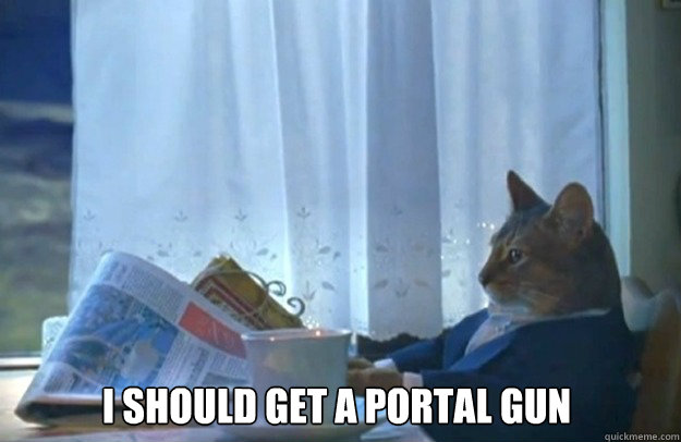 I Should get a Portal Gun  Sophisticated Cat