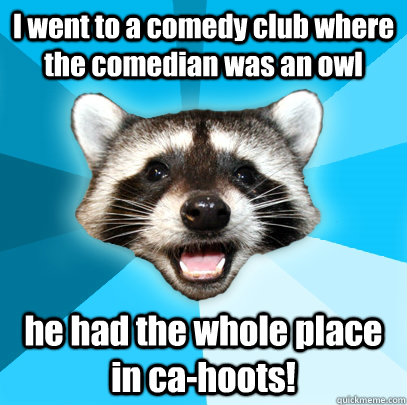 I went to a comedy club where the comedian was an owl he had the whole place in ca-hoots!  Lame Pun Coon