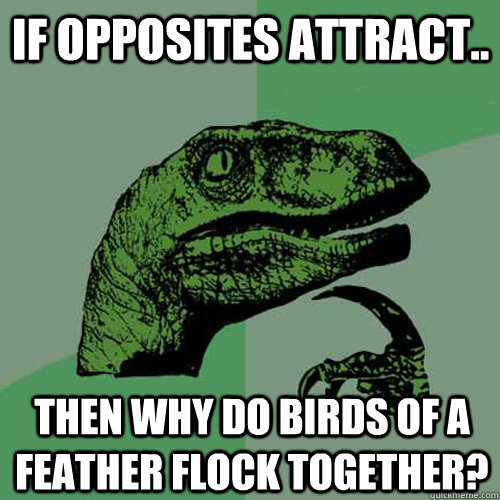 if opposites attract.. then why do birds of a feather flock together