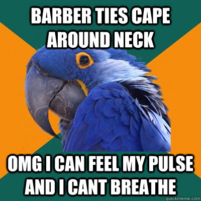 barber ties cape around neck omg i can feel my pulse and i cant breathe  Paranoid Parrot