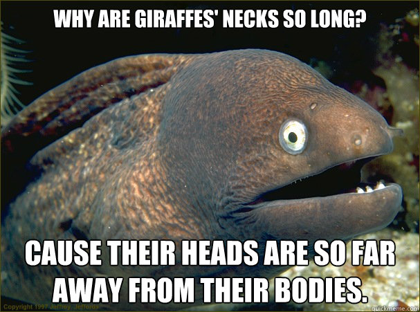 Why are giraffes' necks so long? cause their heads are so far away from their bodies.  Bad Joke Eel