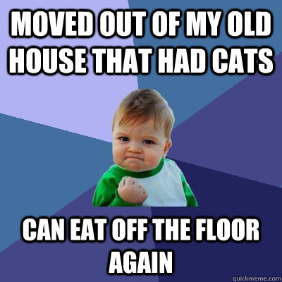 Moved out of my old house that had cats can eat off the floor again  Success Kid