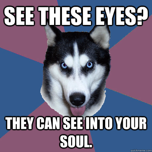 see these eyes? they can see into your soul.  Creeper Canine