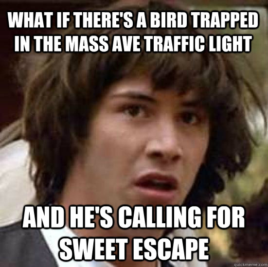 What if there's a bird trapped in the mass ave traffic light and he's calling for sweet escape  conspiracy keanu