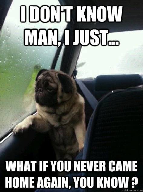 I don't know man, I just... What if you never came home again, you know ?  Introspective Pug