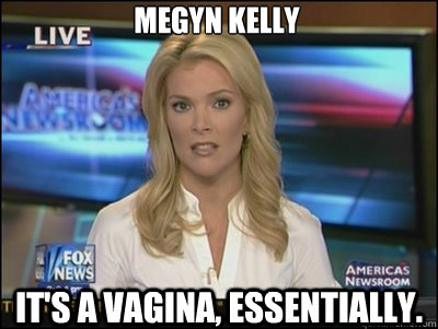 Megyn Kelly It's a VAGINA, Essentially.  Megyn Kelly