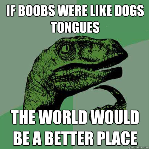 if boobs were like dogs tongues       the world would be a better place   Philosoraptor