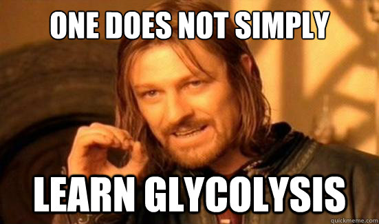 One Does Not Simply learn glycolysis - One Does Not Simply learn glycolysis  Boromir