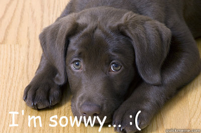 I'm sowwy... :( - I'm sowwy... :(  Sad Puppy