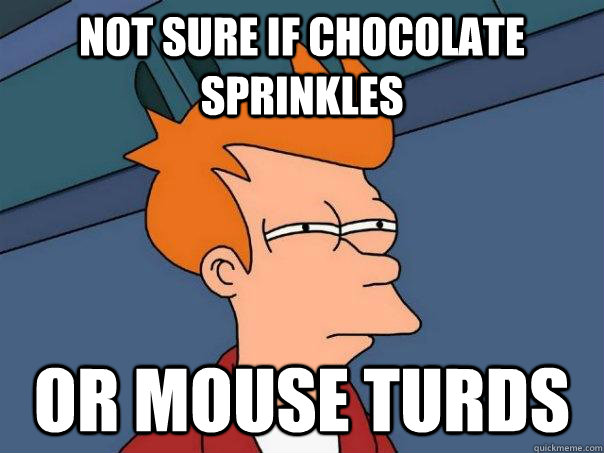 not sure if chocolate sprinkles or mouse turds  Futurama Fry