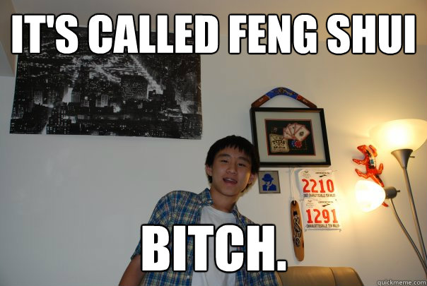 it's called feng shui bitch. - it's called feng shui bitch.  Swag Wobble