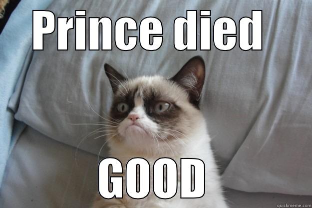 PRINCE DIED  GOOD Grumpy Cat