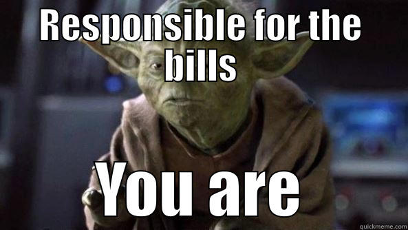 RESPONSIBLE FOR THE BILLS YOU ARE True dat, Yoda.