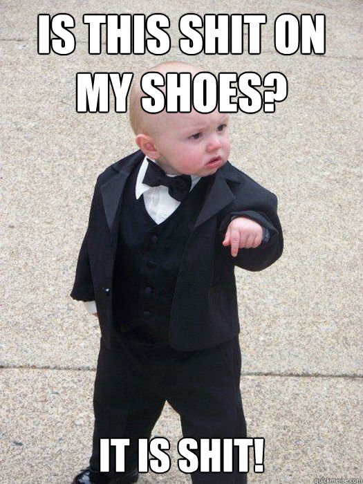 Is this shit on my shoes? It is shit!  Baby Godfather