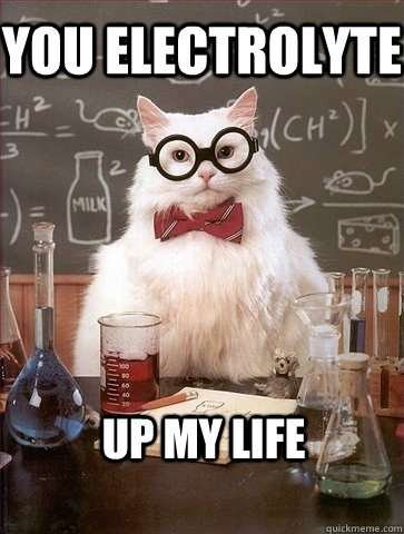 YOU ELECTROLYTE UP MY LIFE  Chemistry Cat