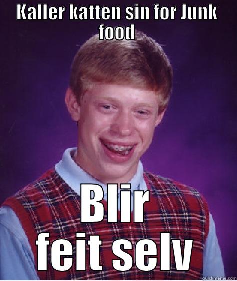 KALLER KATTEN SIN FOR JUNK FOOD BLIR FEIT SELV Bad Luck Brian