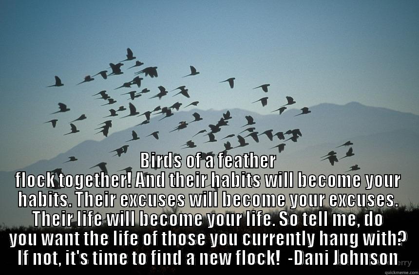  BIRDS OF A FEATHER FLOCK TOGETHER! AND THEIR HABITS WILL BECOME YOUR HABITS. THEIR EXCUSES WILL BECOME YOUR EXCUSES. THEIR LIFE WILL BECOME YOUR LIFE. SO TELL ME, DO YOU WANT THE LIFE OF THOSE YOU CURRENTLY HANG WITH? IF NOT, IT'S TIME TO FIND A NEW FLOCK Misc