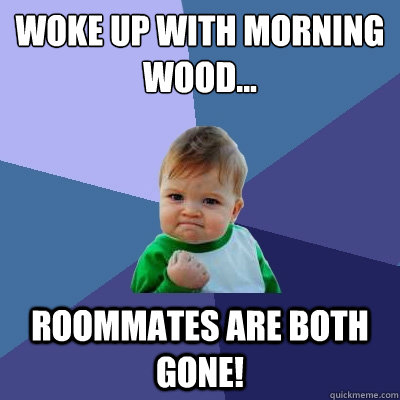 woke up with morning wood... Roommates are both gone!  Success Kid