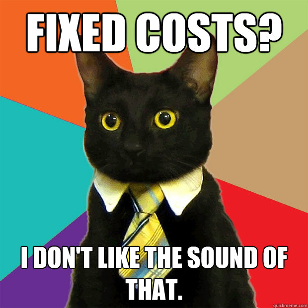 Fixed costs? I don't like the sound of that.  Business Cat